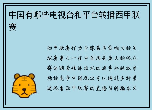 中国有哪些电视台和平台转播西甲联赛
